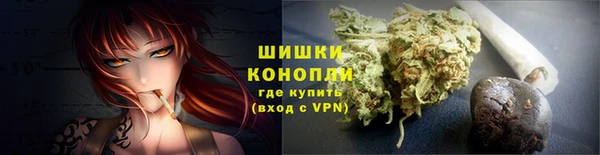 прущие грибы Богородск